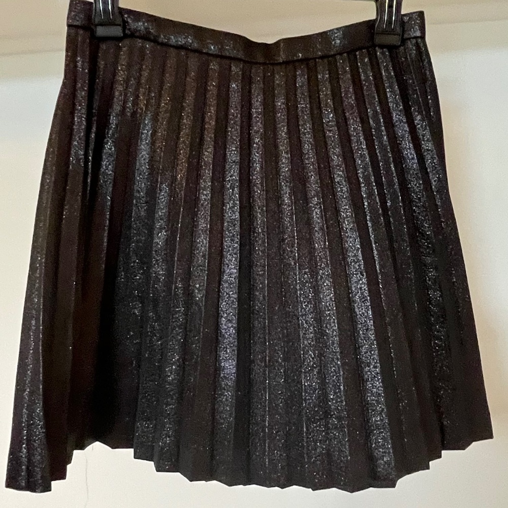NWOT JCrew Pleated Holiday Skirt